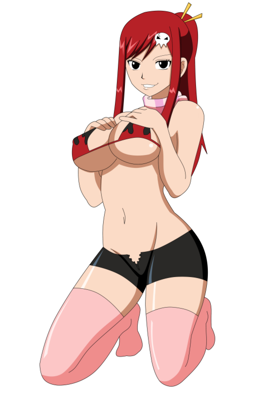 erza scarlet,yoko littner